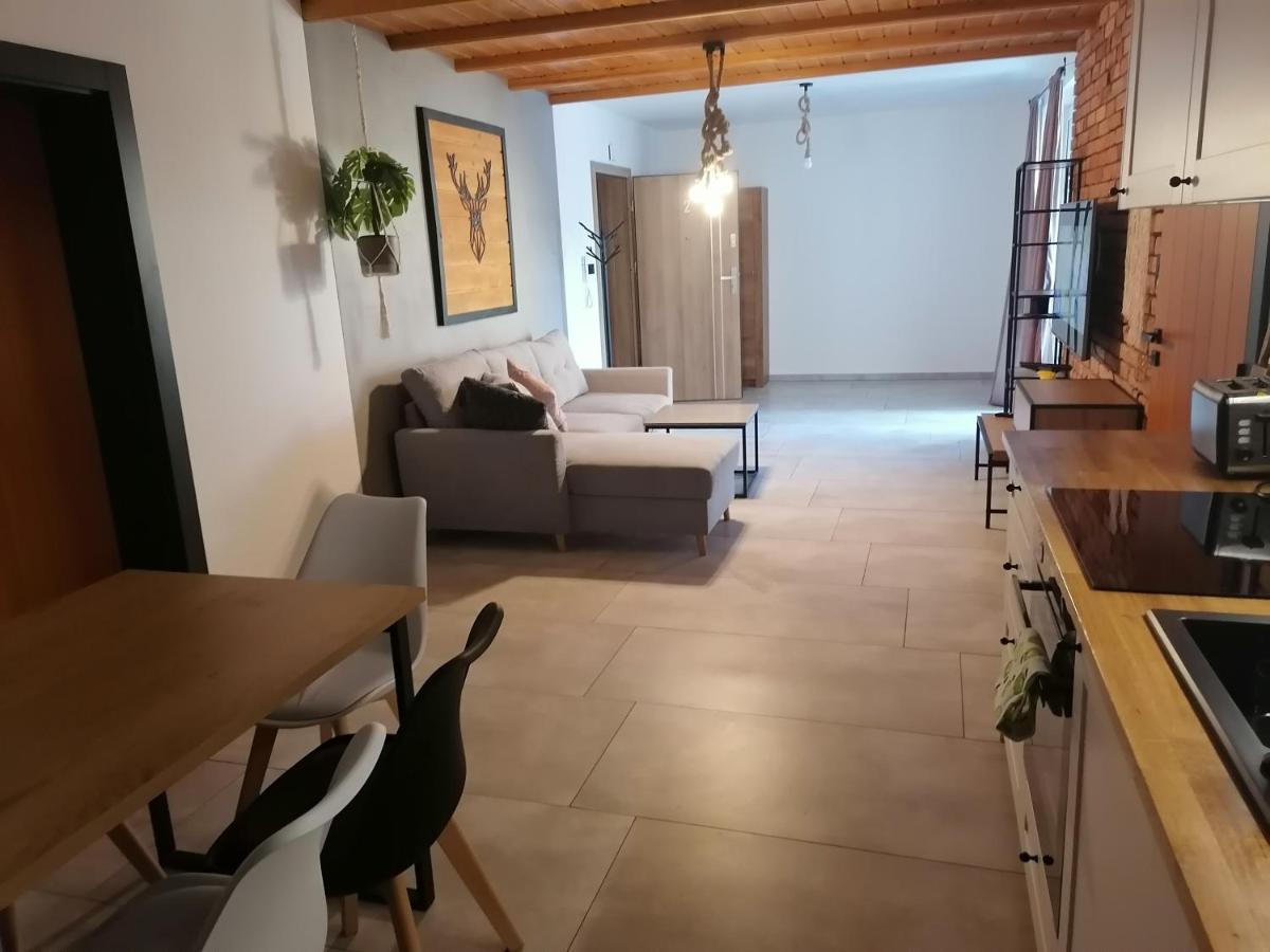 Apartament Jelen Apartment Zlotow  Ngoại thất bức ảnh