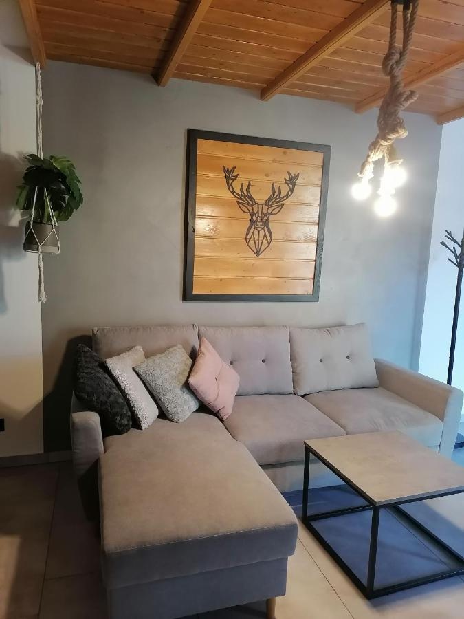 Apartament Jelen Apartment Zlotow  Ngoại thất bức ảnh